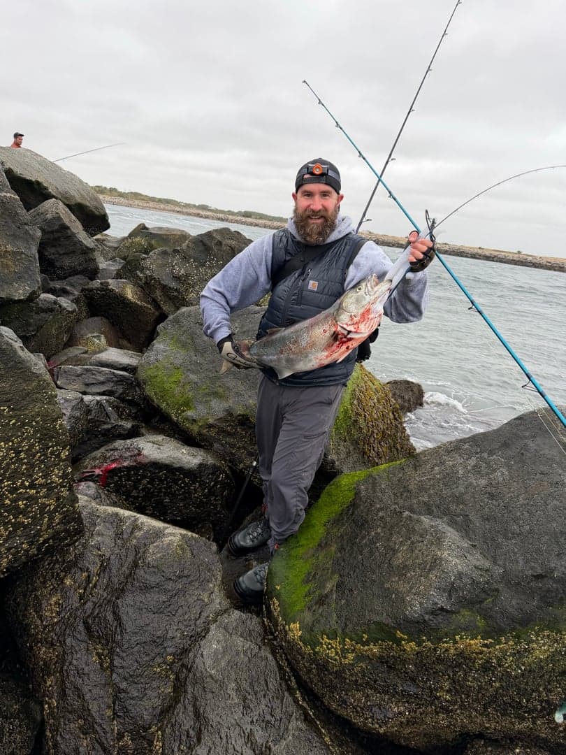 Bluefish caught by Captain Erich, October 2026