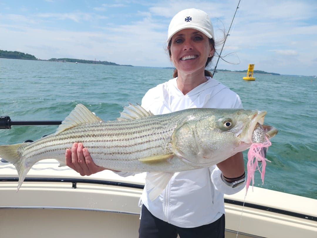 Striped Bass caught by Get Tight Sport Fishing Captain Brian Coombs, July 2025