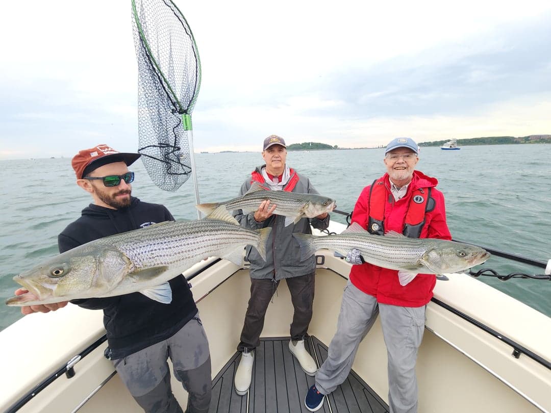 Striped Bass caught by Get Tight Sport Fishing Captain Brian Coombs, July 2025