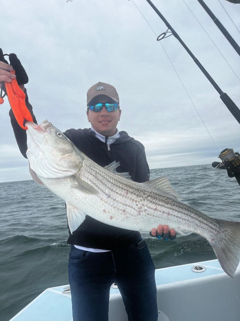 Striped Bass caught by Reel time fishing cape cod, July 2025