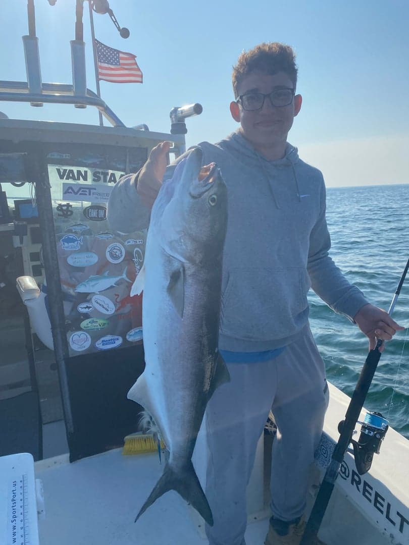 Bluefish caught by Reel time fishing cape cod, July 2025
