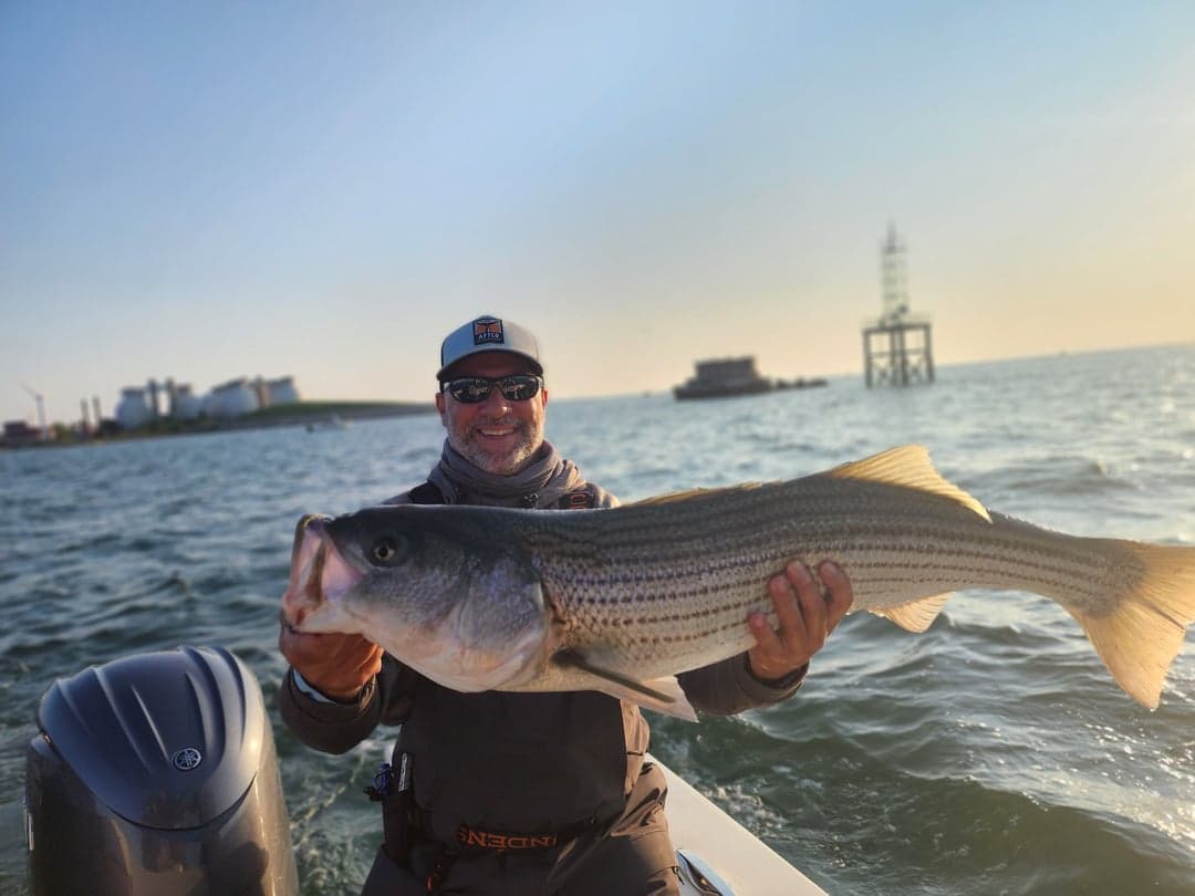 Striped Bass caught by Get Tight Sport Fishing Captain Brian Coombs, July 2025