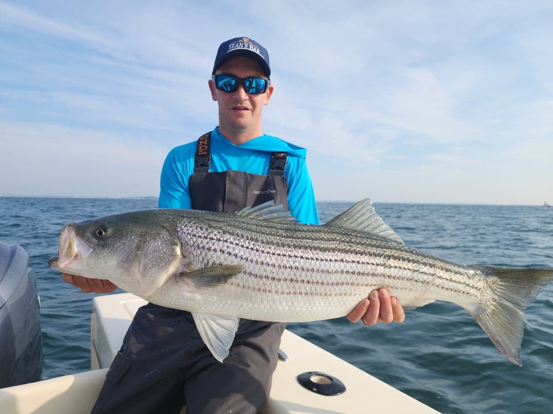 Striped Bass caught by Get Tight Sport Fishing Captain Brian Coombs, July 2025