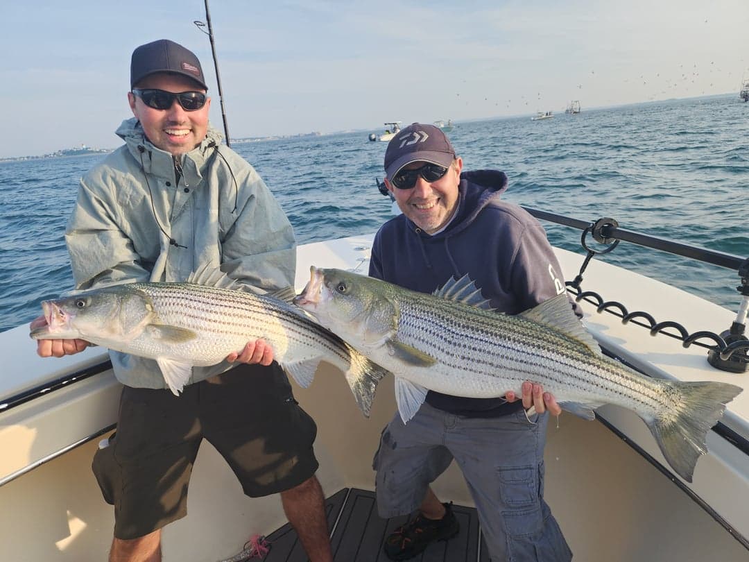 Striped Bass caught by Get Tight Sport Fishing Captain Brian Coombs, July 2025