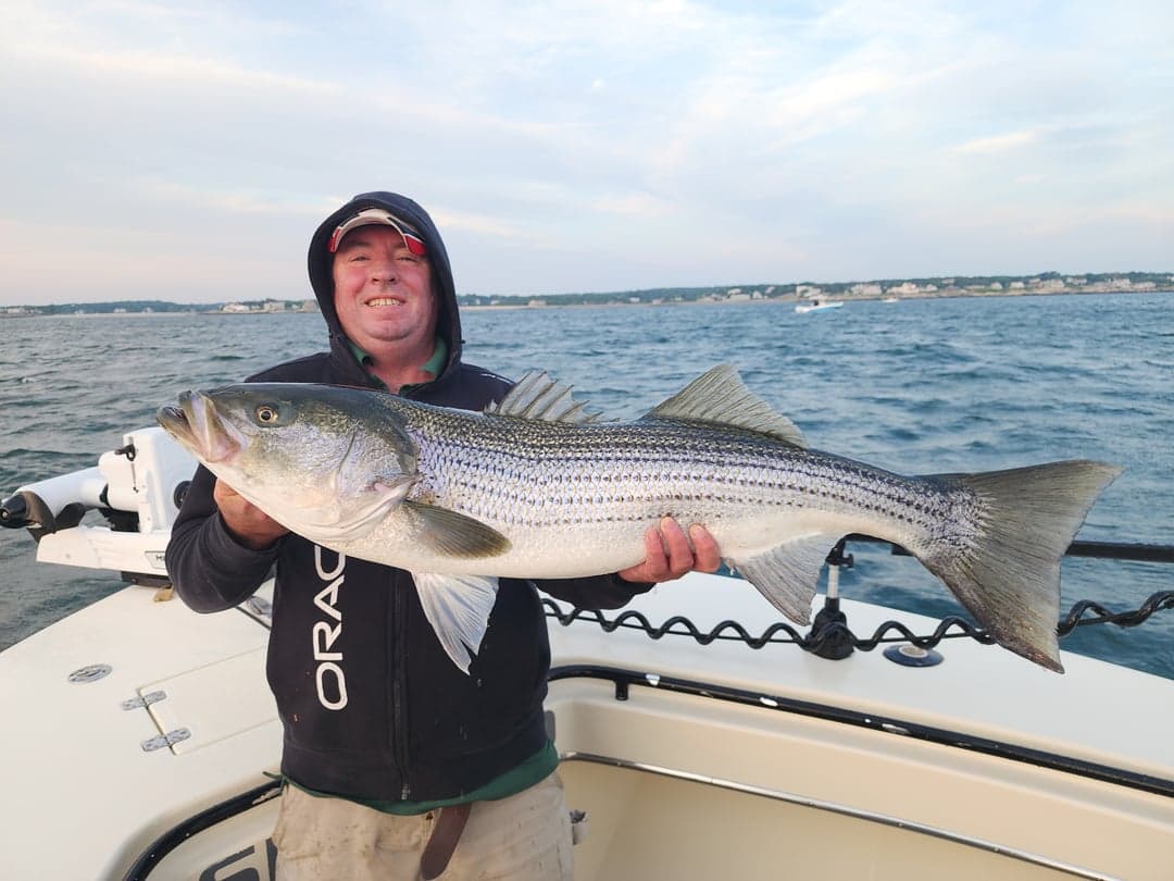 Striped Bass caught by Get Tight Sport Fishing Captain Brian Coombs, July 2025