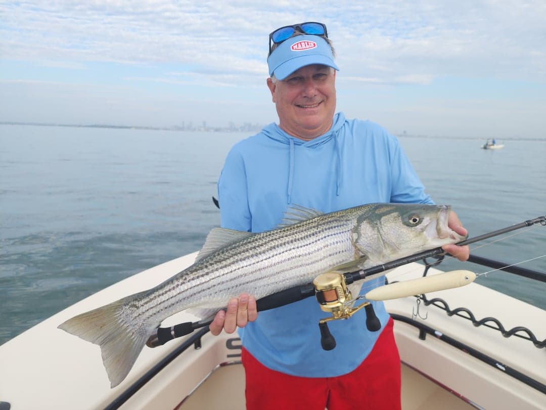 Striped Bass caught by Get Tight Sport Fishing Captain Brian Coombs, July 2025