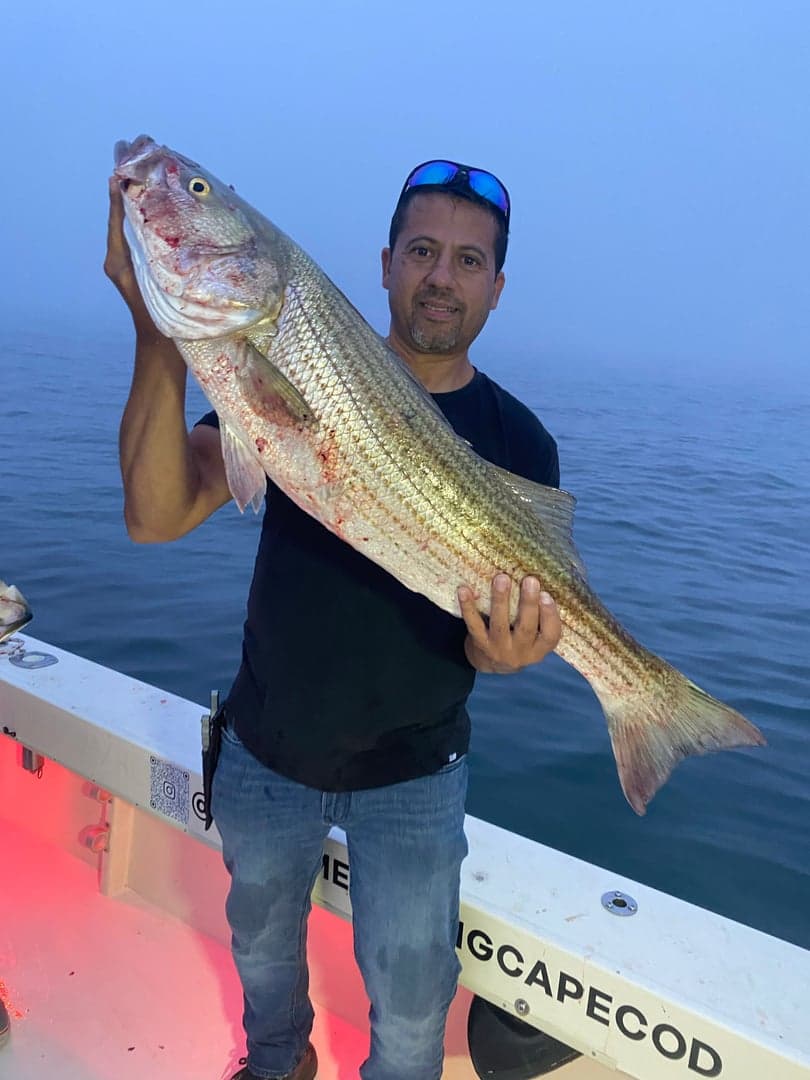 Striped Bass caught by Reel time fishing cape cod, July 2025