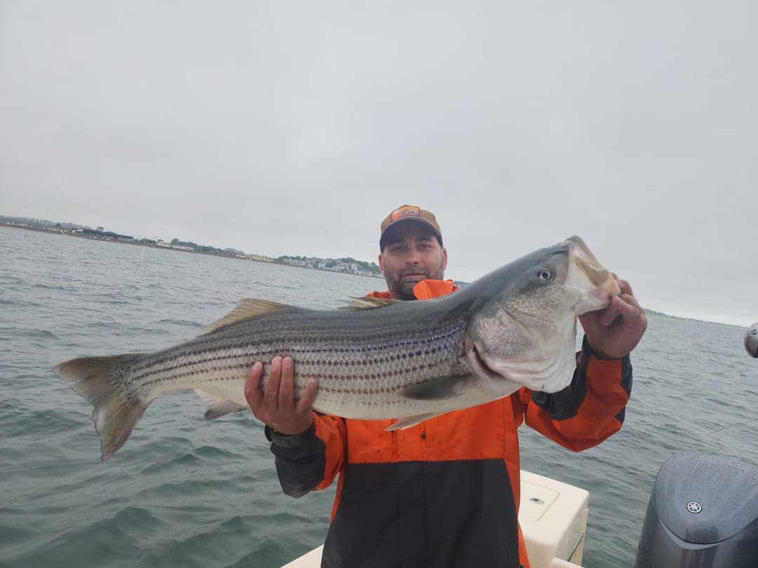 Striped Bass caught by Get Tight Sport Fishing Captain Brian Coombs, July 2025