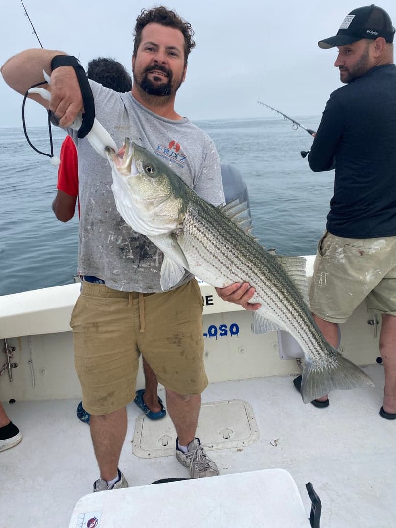 Striped Bass caught by Reel time fishing cape cod, July 2025