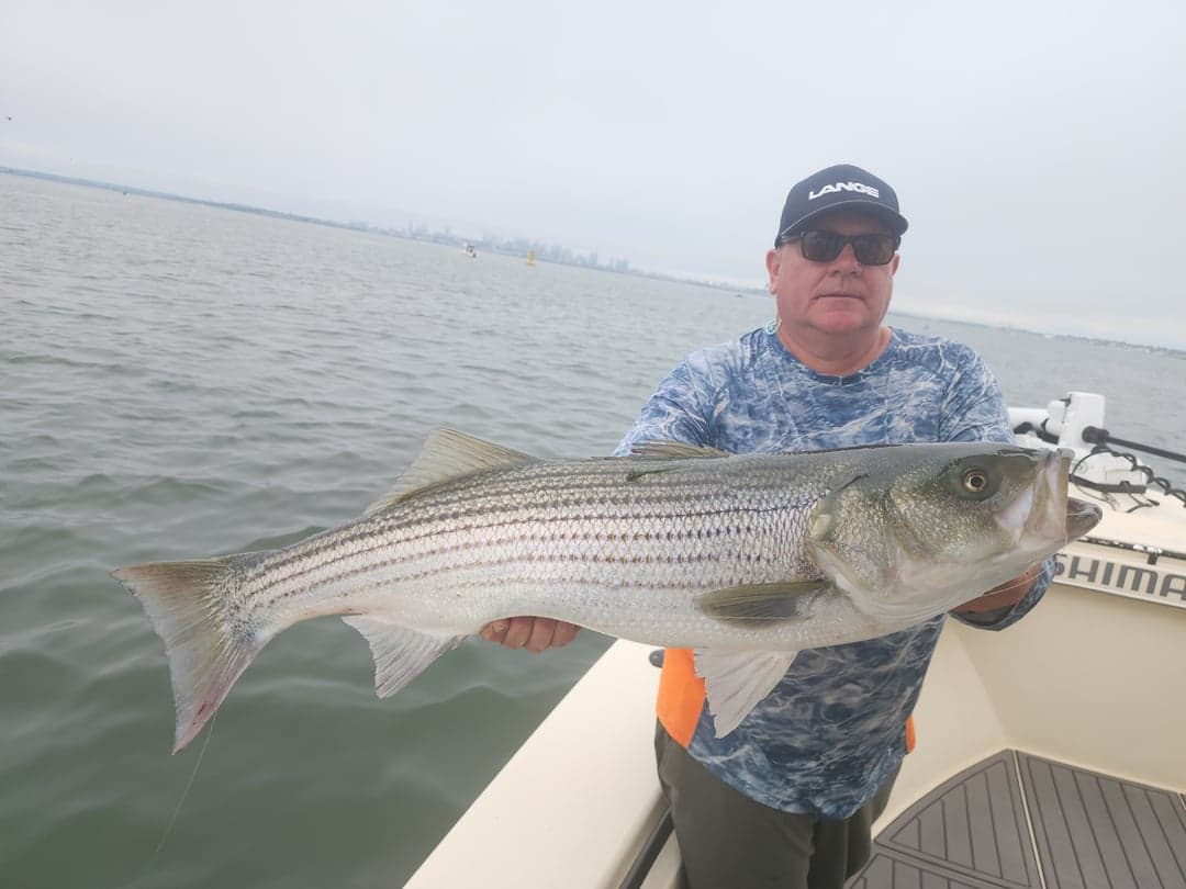 Striped Bass caught by Get Tight Sport Fishing Captain Brian Coombs, July 2025