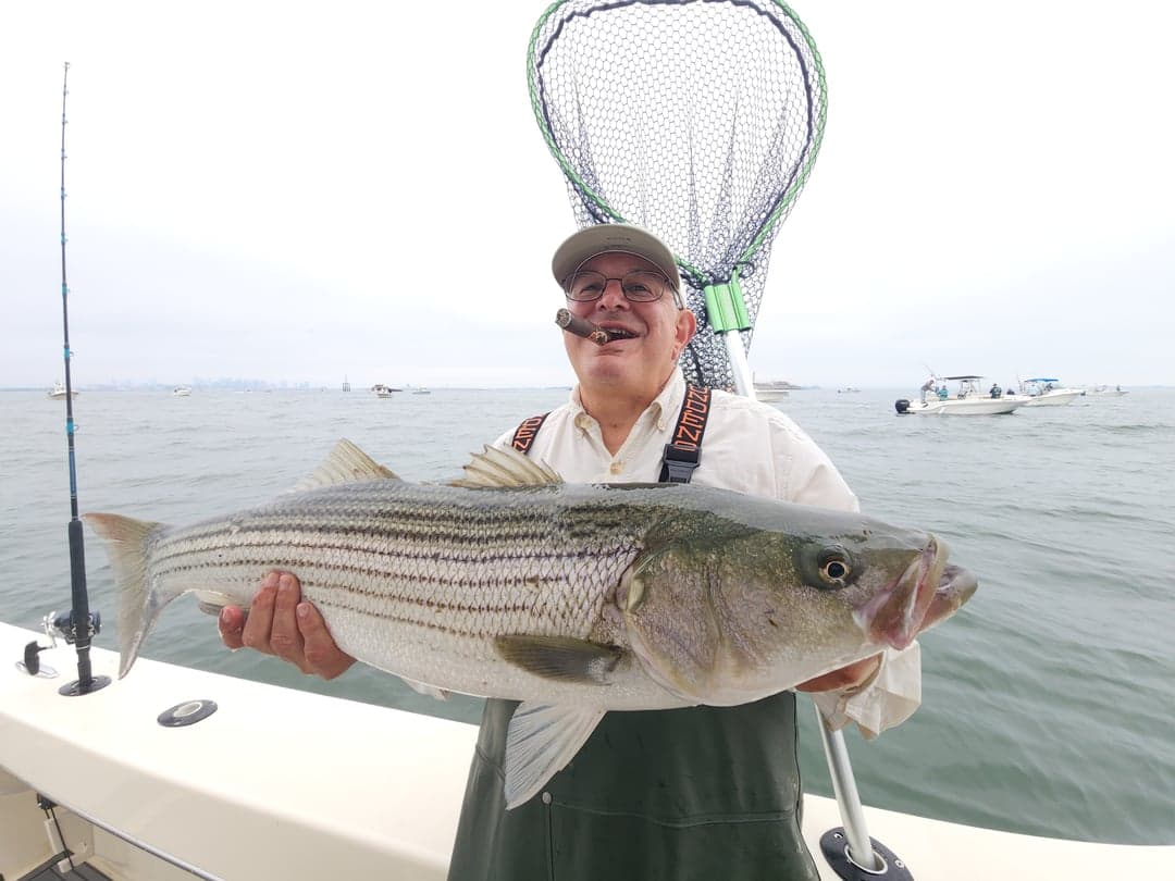 Striped Bass caught by Get Tight Sport Fishing Captain Brian Coombs, July 2025