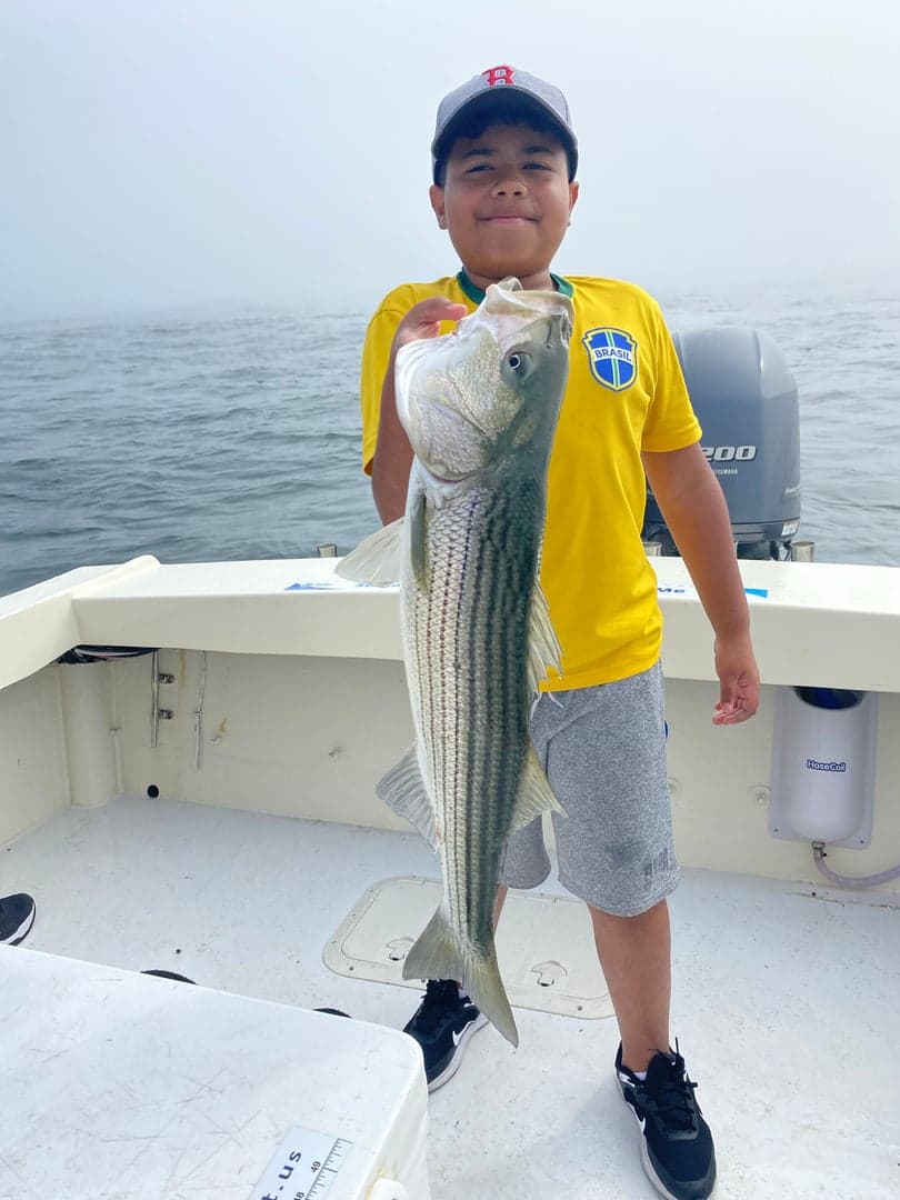 Striped Bass caught by Reel time fishing cape cod, July 2025