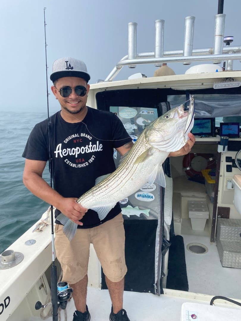 Striped Bass caught by Reel time fishing cape cod, July 2025