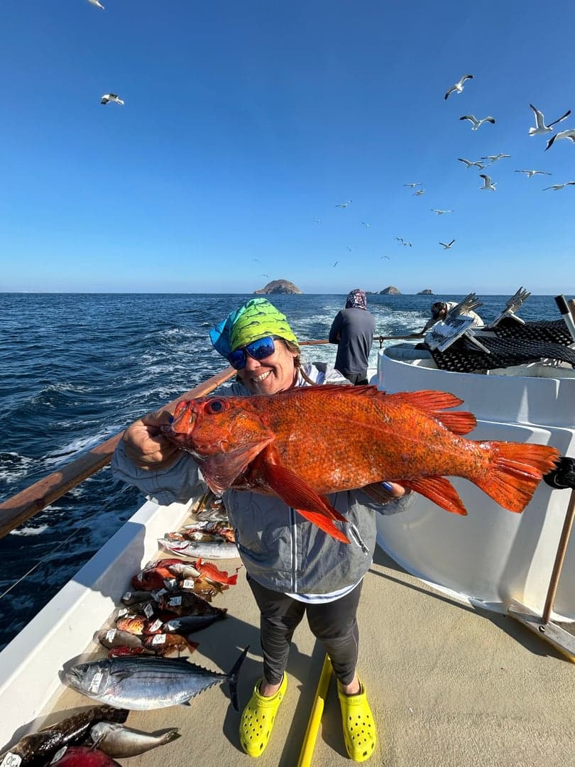 Anchovy caught by Dave Marciano, June 2025