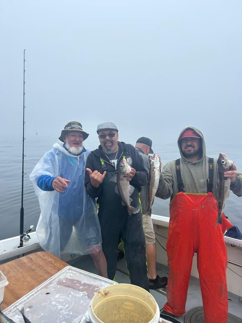 Haddock caught by Dave Marciano, June 2025