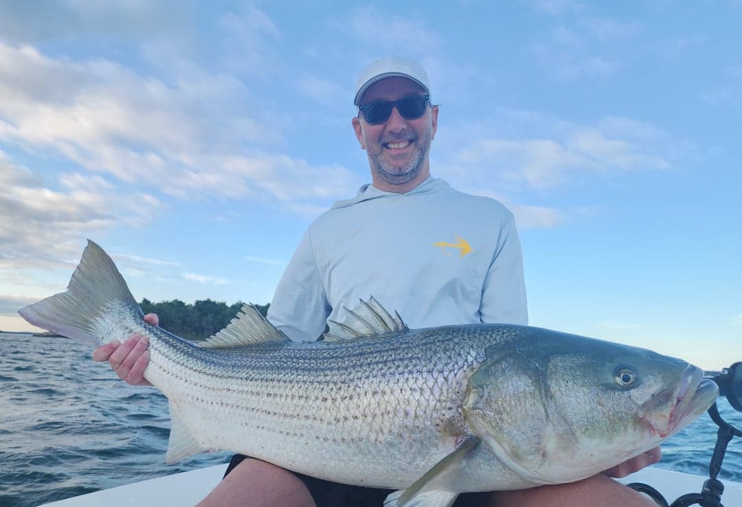 Striped Bass caught by Get Tight Sport Fishing Captain Brian Coombs, July 2025