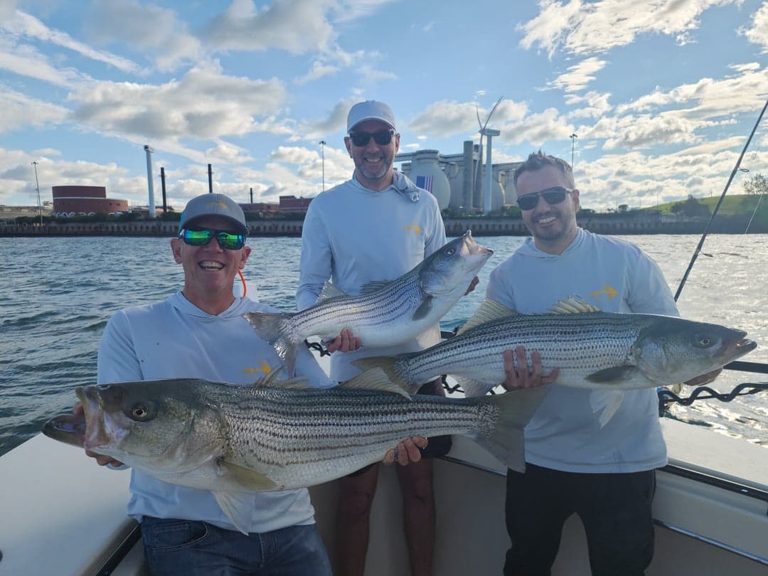 Striped Bass caught by Get Tight Sport Fishing Captain Brian Coombs, July 2025