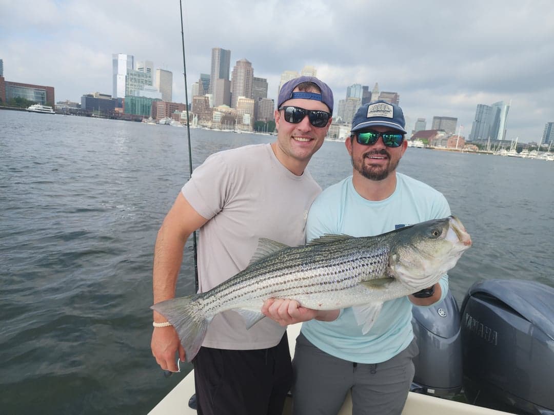 Striped Bass caught by Get Tight Sport Fishing Captain Brian Coombs, July 2025