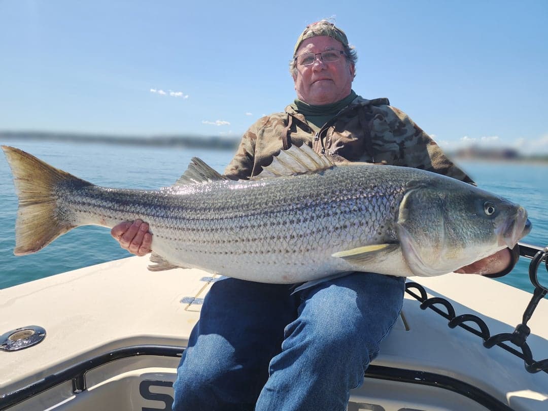 Striped Bass caught by Get Tight Sport Fishing Captain Brian Coombs, July 2025