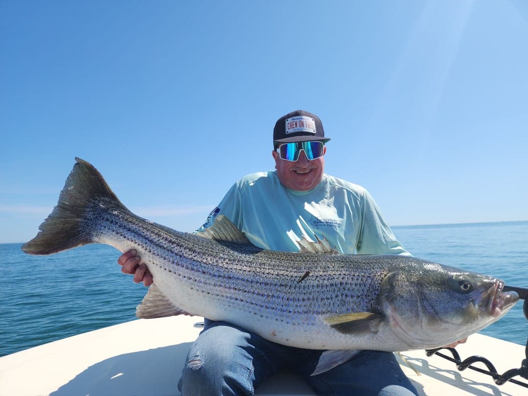 Striped Bass caught by Get Tight Sport Fishing Captain Brian Coombs, July 2025