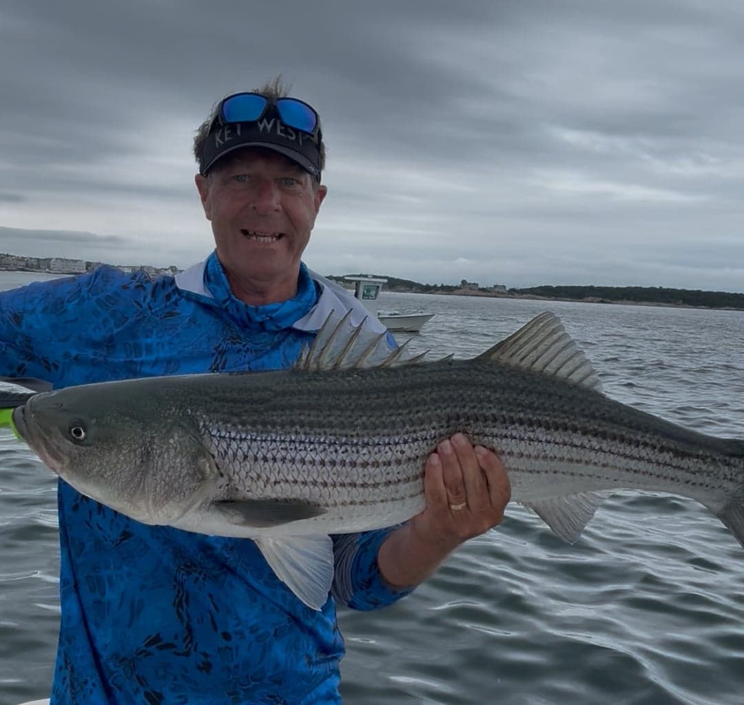 Striped Bass caught by Matthew cunningham, July 2025