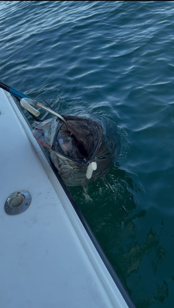 Atlantic Bluefin Tuna caught by Chris Blake, July 2025
