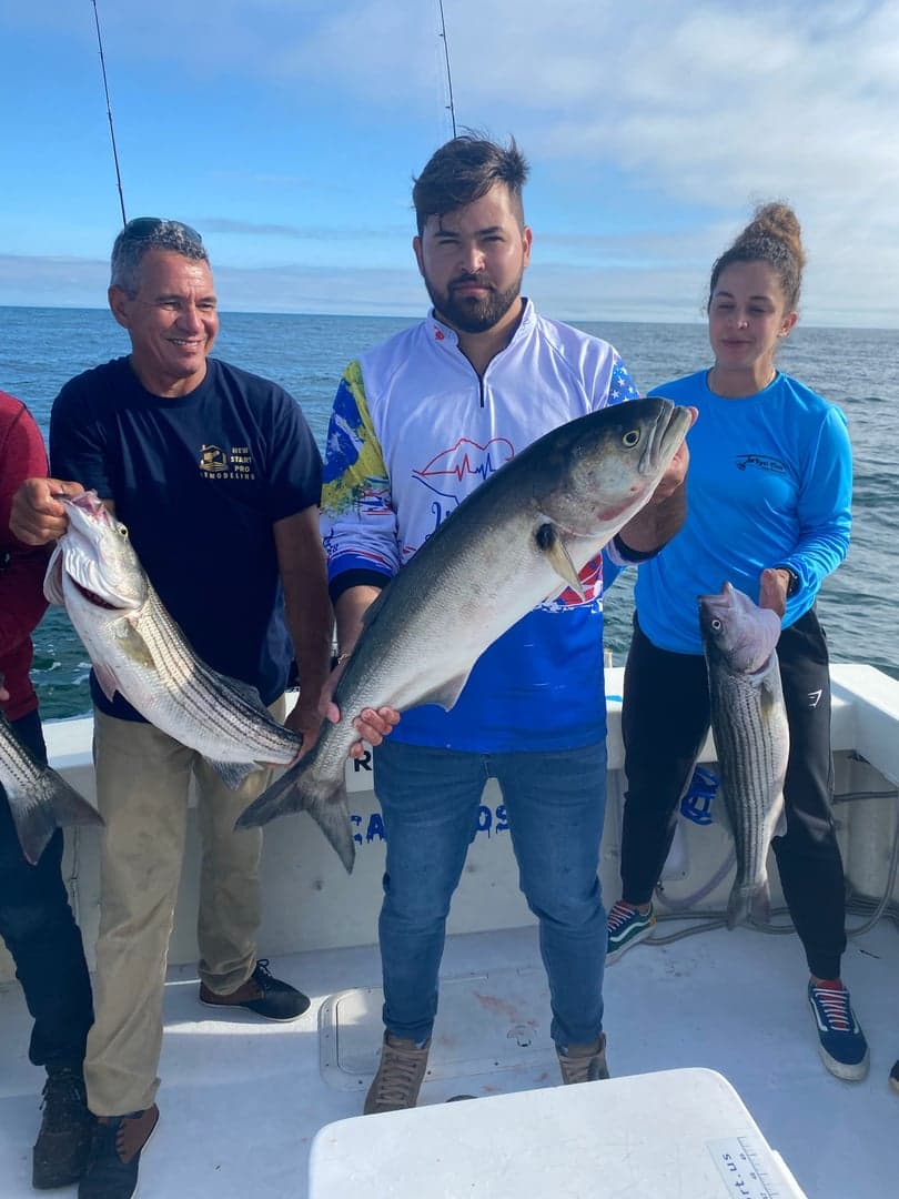 Bluefish caught by Reel time fishing cape cod, July 2025