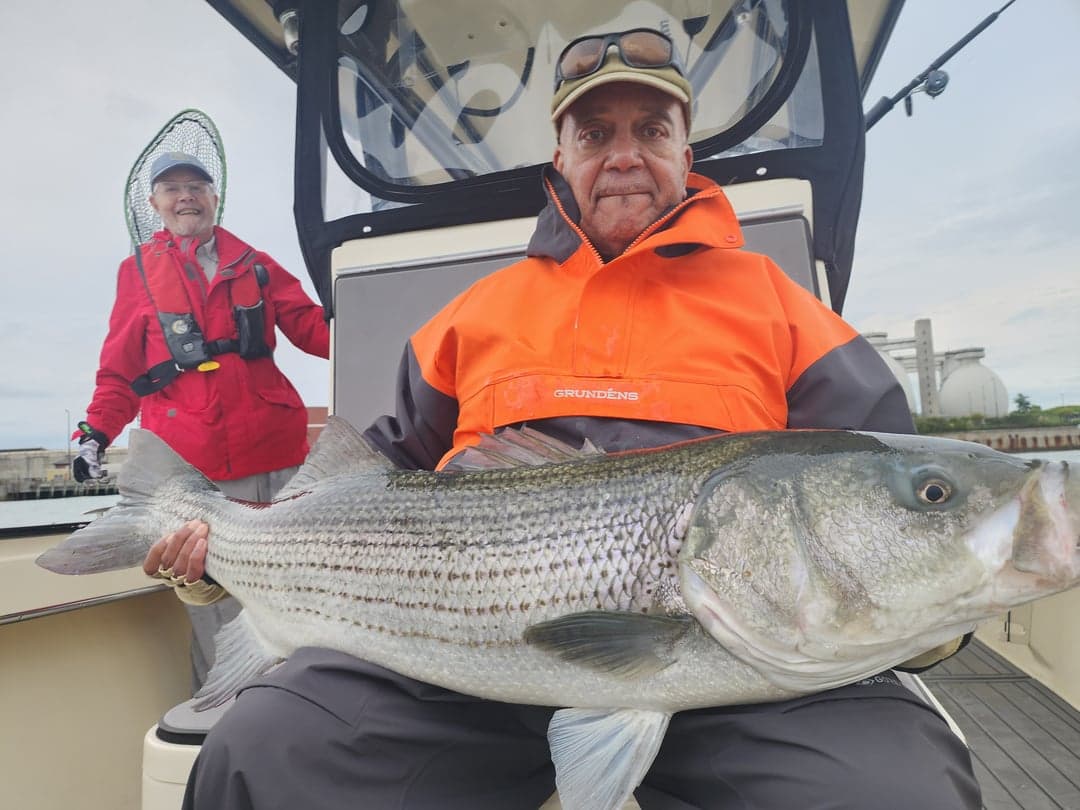 Striped Bass caught by Get Tight Sport Fishing Captain Brian Coombs, July 2025