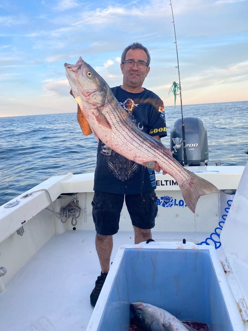Striped Bass caught by Reel time fishing cape cod, July 2025