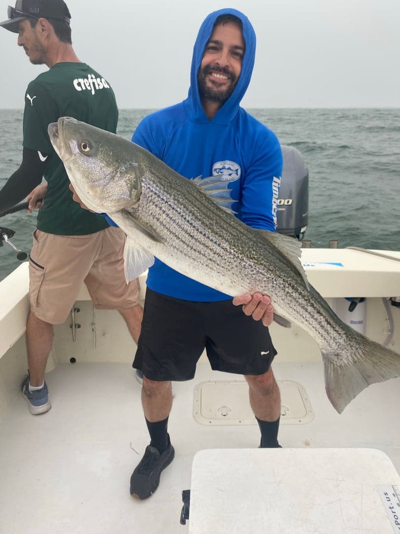 Striped Bass caught by Reel time fishing cape cod, July 2025