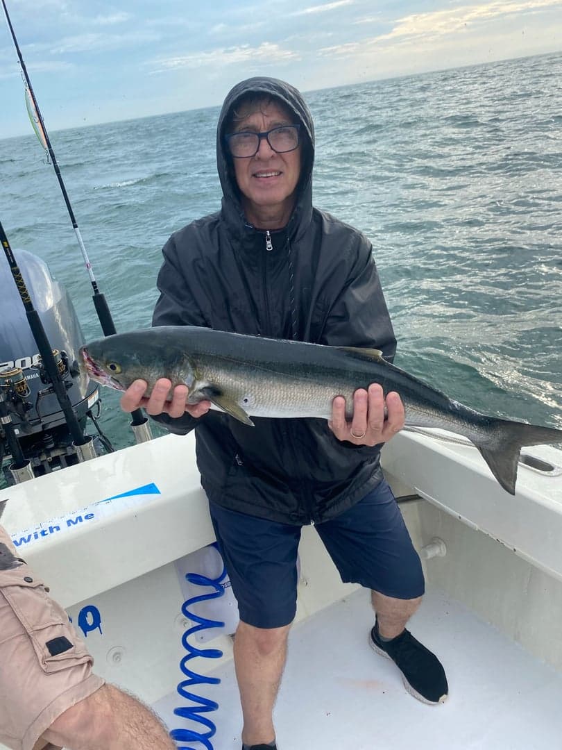 Bluefish caught by Reel time fishing cape cod, July 2025