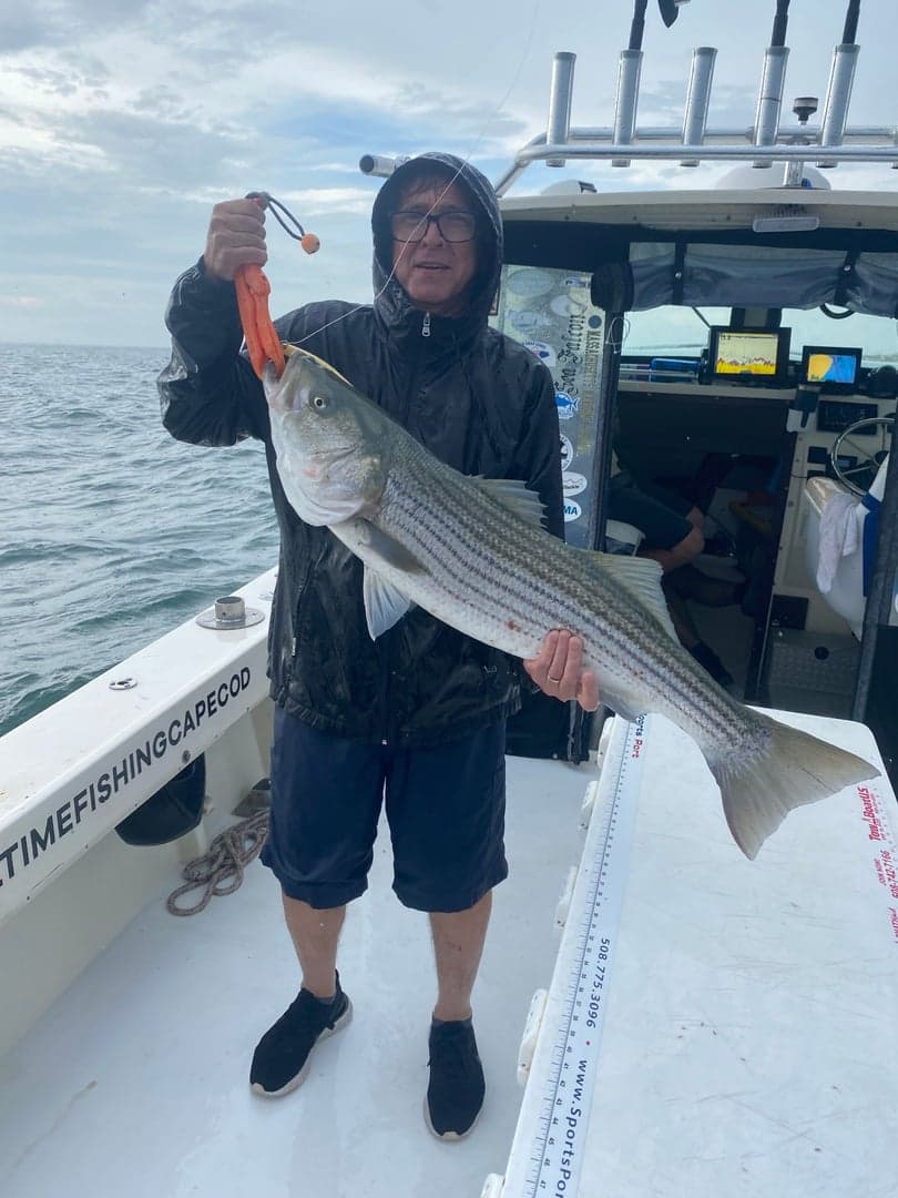 Striped Bass caught by Reel time fishing cape cod, July 2025
