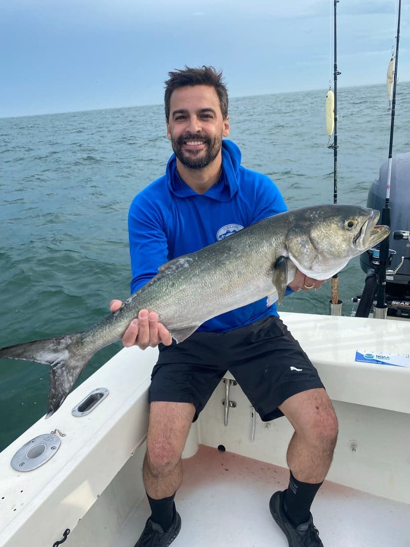 Bluefish caught by Reel time fishing cape cod, July 2025