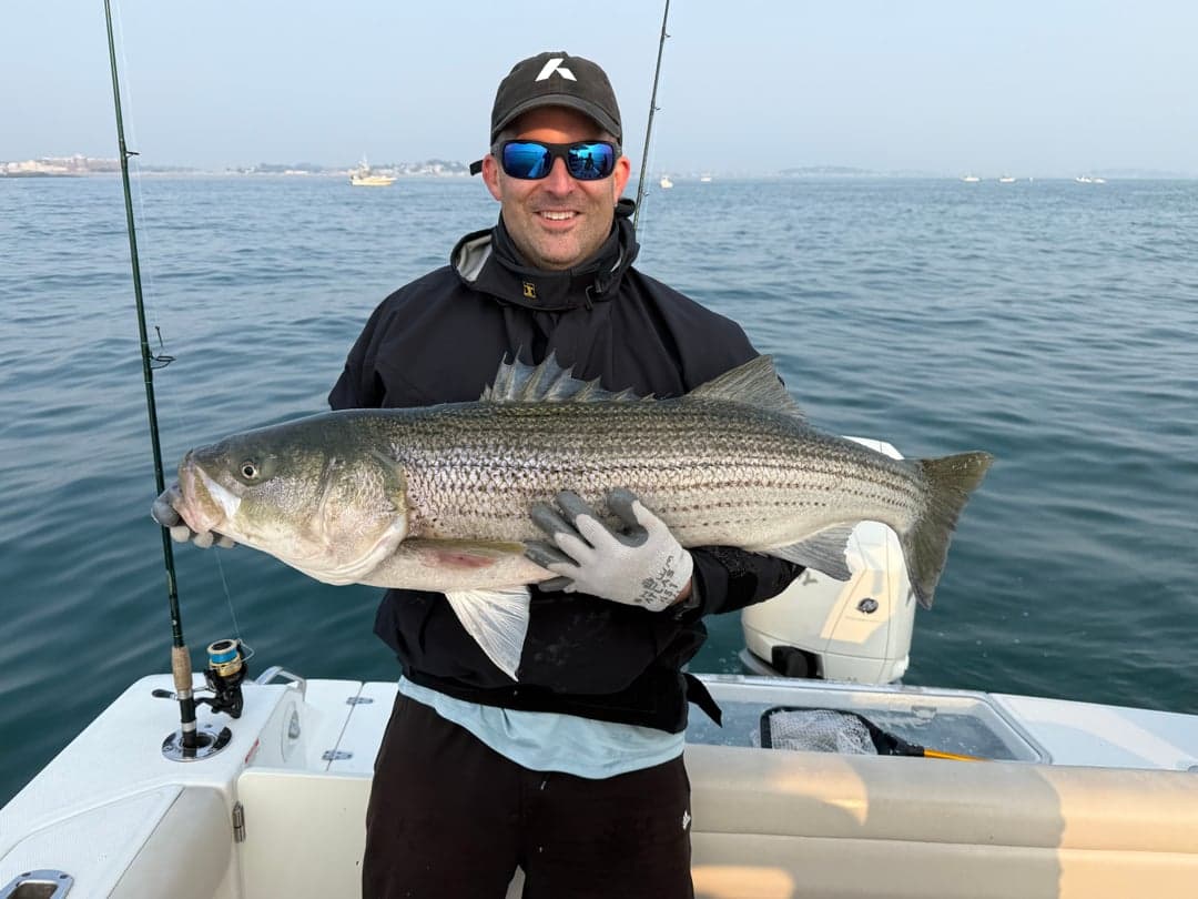 Striped Bass caught by Kristopher Meola, July 2025