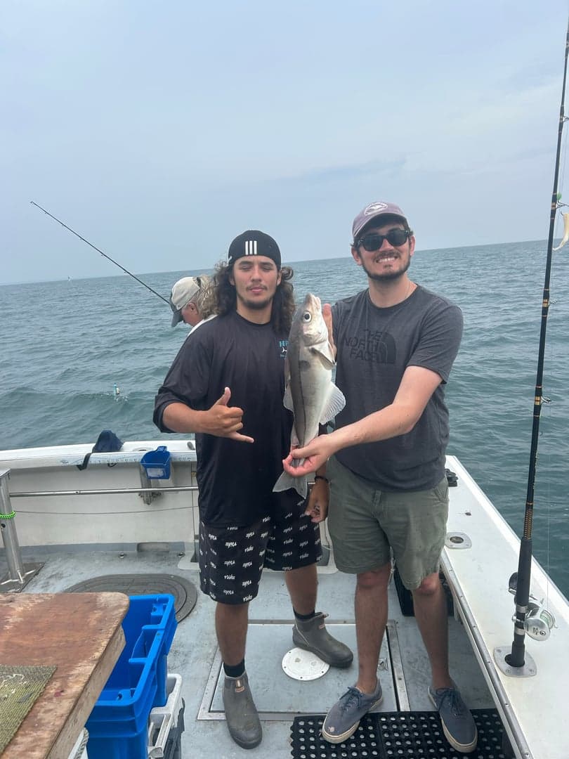 Haddock caught by Dave Marciano, July 2025
