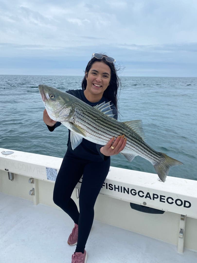 Striped Bass caught by Reel time fishing cape cod, July 2025