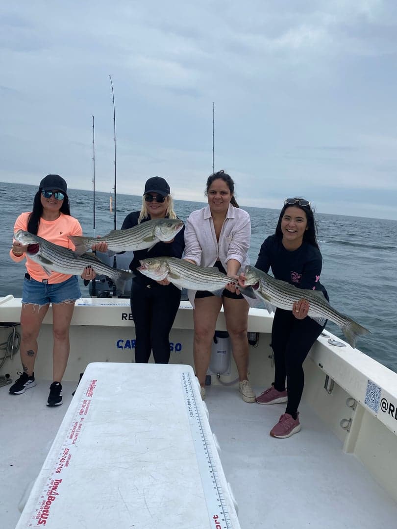 Striped Bass caught by Reel time fishing cape cod, July 2025