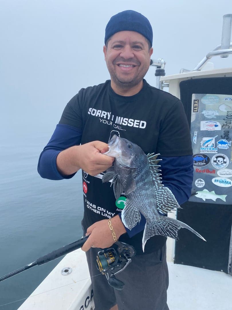 Black Sea Bass caught by Reel time fishing cape cod, July 2025