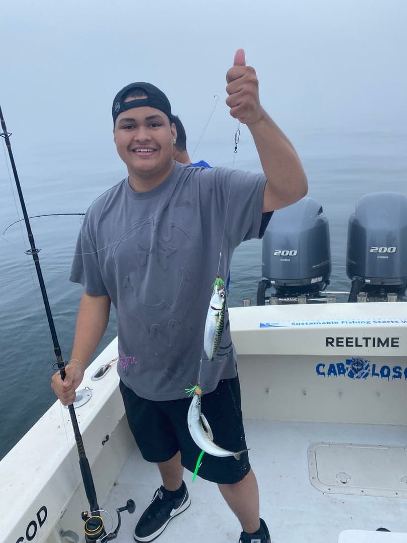 Atlantic Mackerel caught by Reel time fishing cape cod, July 2025