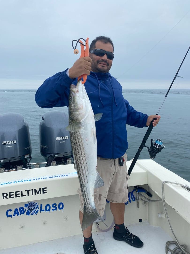 Striped Bass caught by Reel time fishing cape cod, July 2025