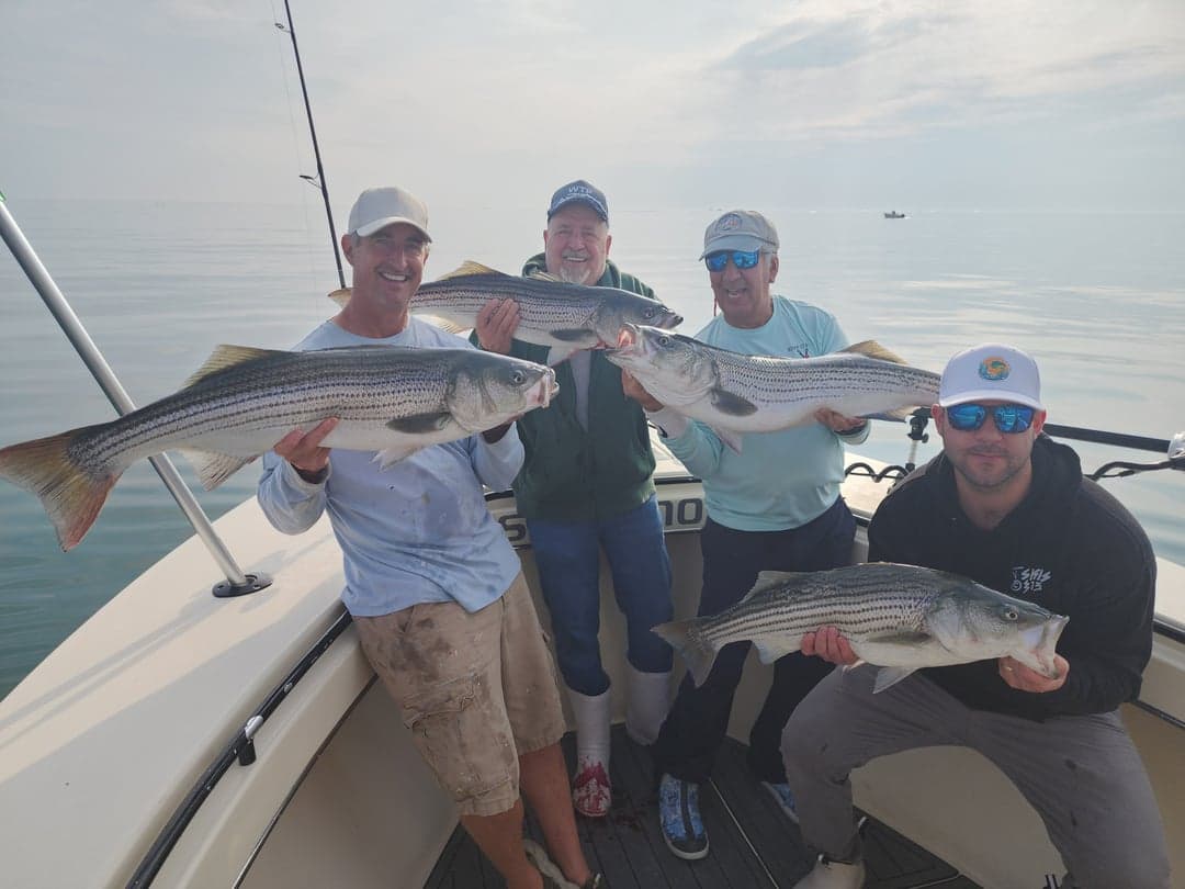 Striped Bass caught by Get Tight Sport Fishing Captain Brian Coombs, July 2025