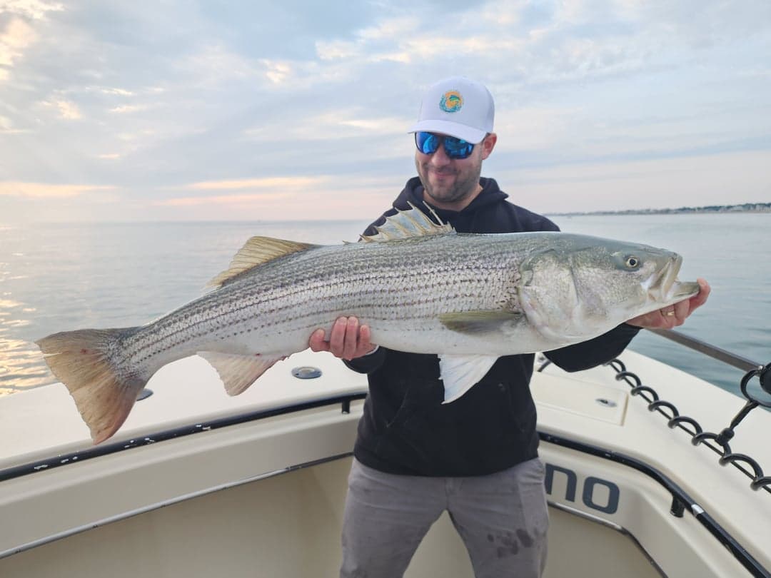 Striped Bass caught by Get Tight Sport Fishing Captain Brian Coombs, July 2025
