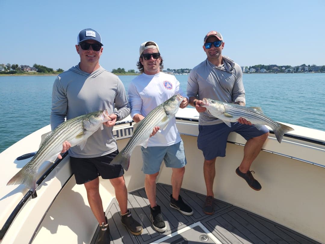 Striped Bass caught by Get Tight Sport Fishing Captain Brian Coombs, July 2025