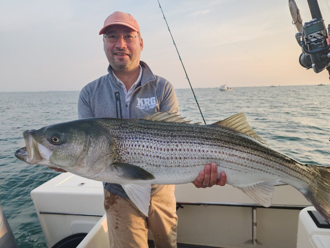 Striped Bass caught by Get Tight Sport Fishing Captain Brian Coombs, July 2025