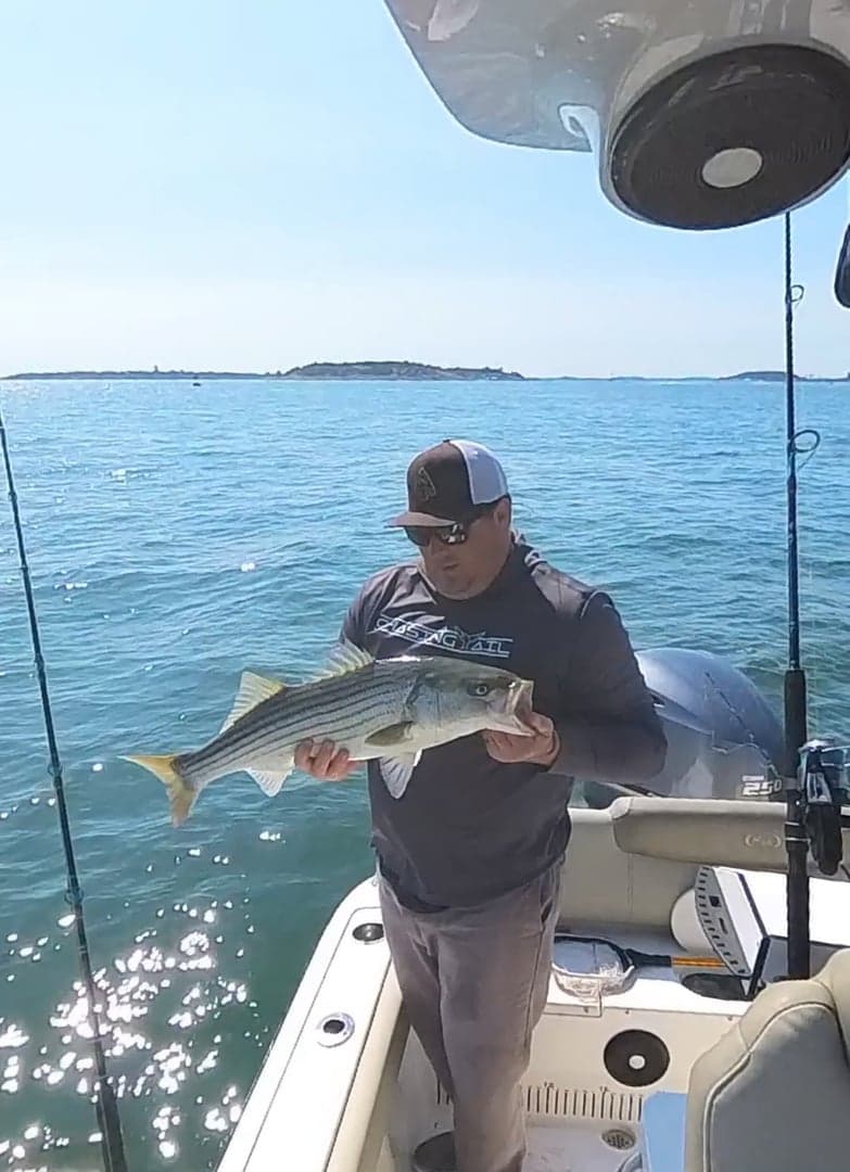 Striped Bass caught by Patrick Yanovitch, August 2025