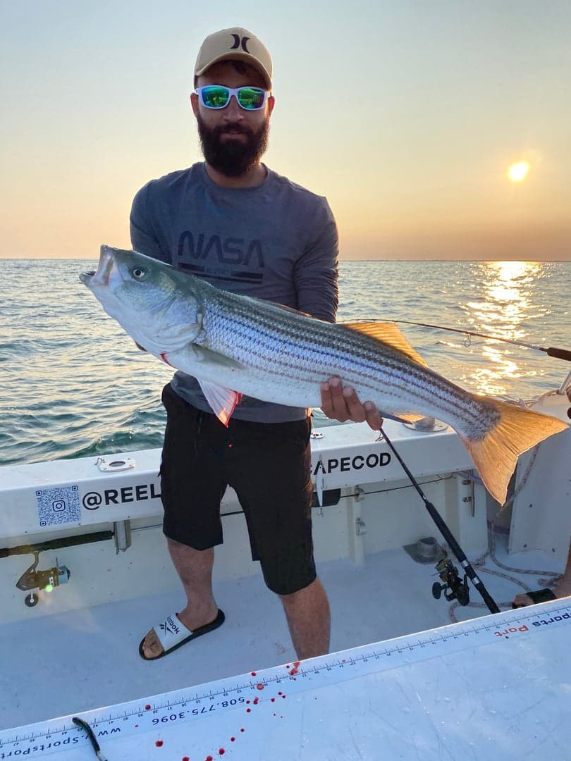 Striped Bass caught by Reel time fishing cape cod, August 2025