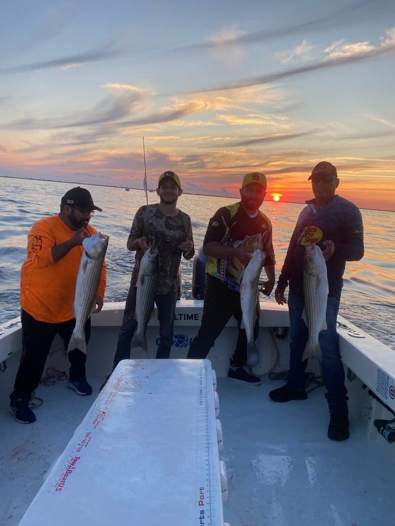 Striped Bass caught by Reel time fishing cape cod, August 2025