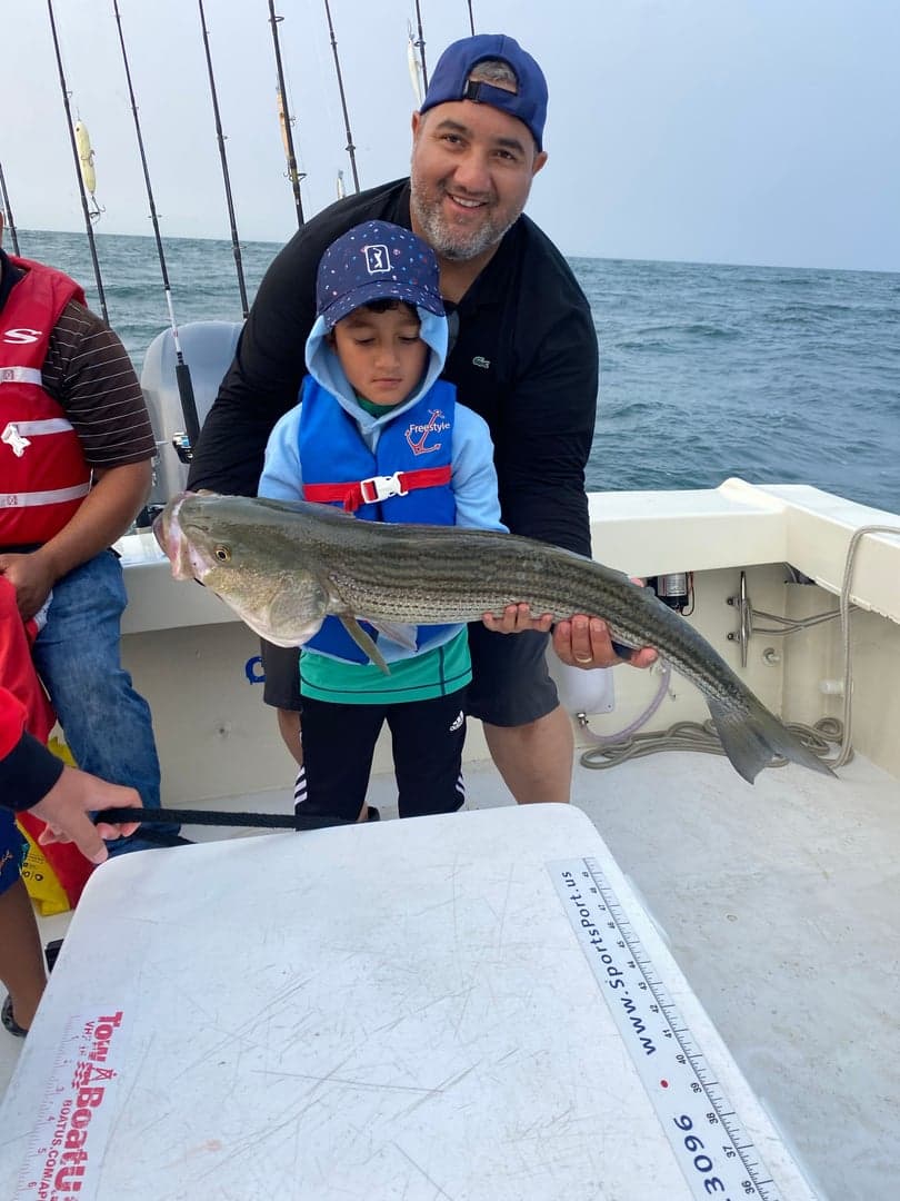 Striped Bass caught by Reel time fishing cape cod, August 2025