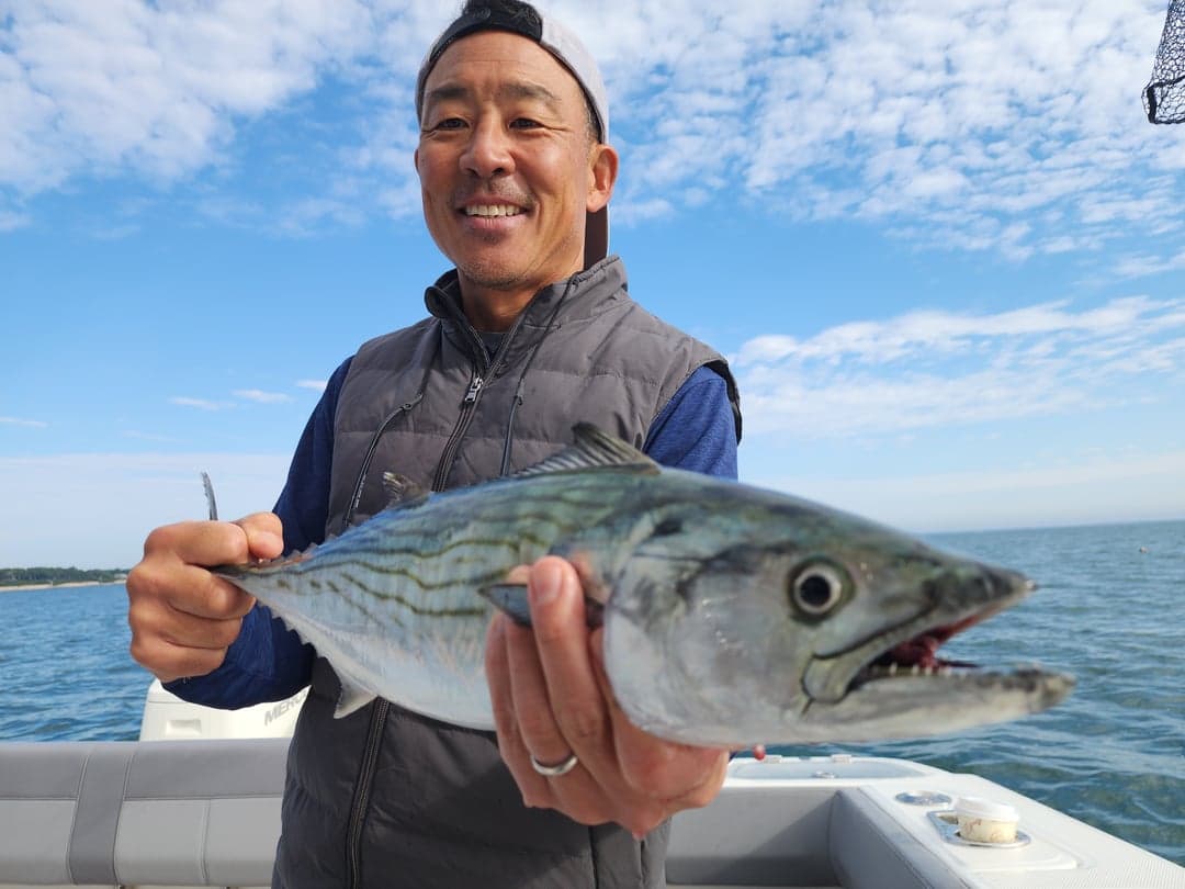 Atlantic Bonito caught by Get Tight Sport Fishing Captain Brian Coombs, August 2025
