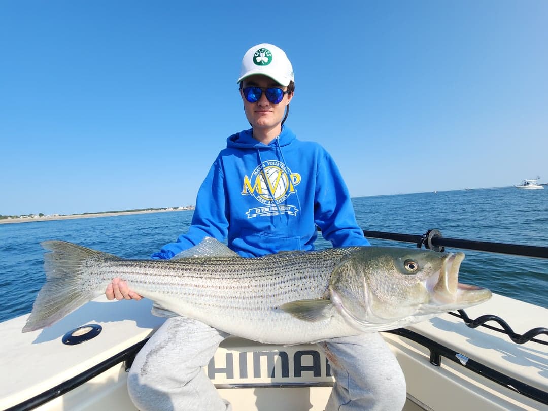 Striped Bass caught by Get Tight Sport Fishing Captain Brian Coombs, August 2025